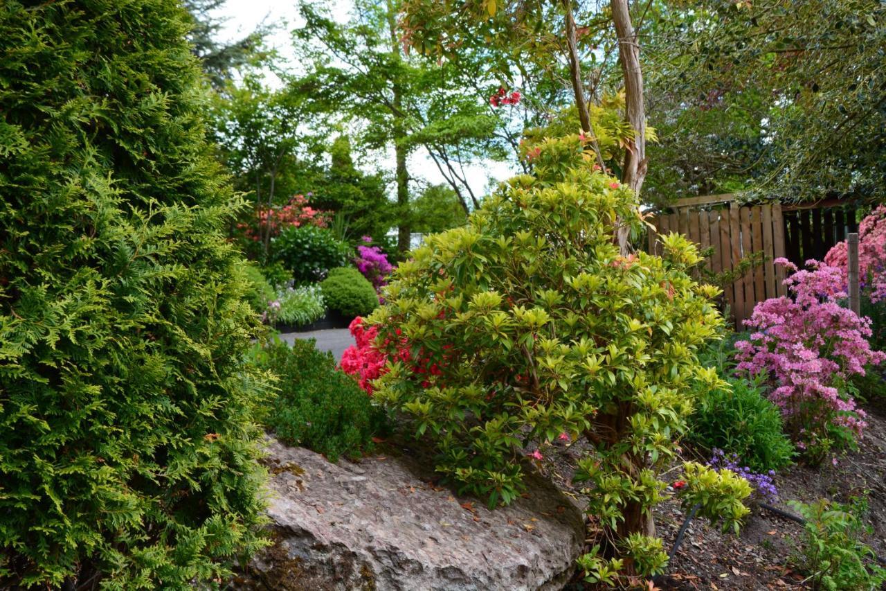 The Grove Lodge Guesthouse Killorglin Eksteriør billede