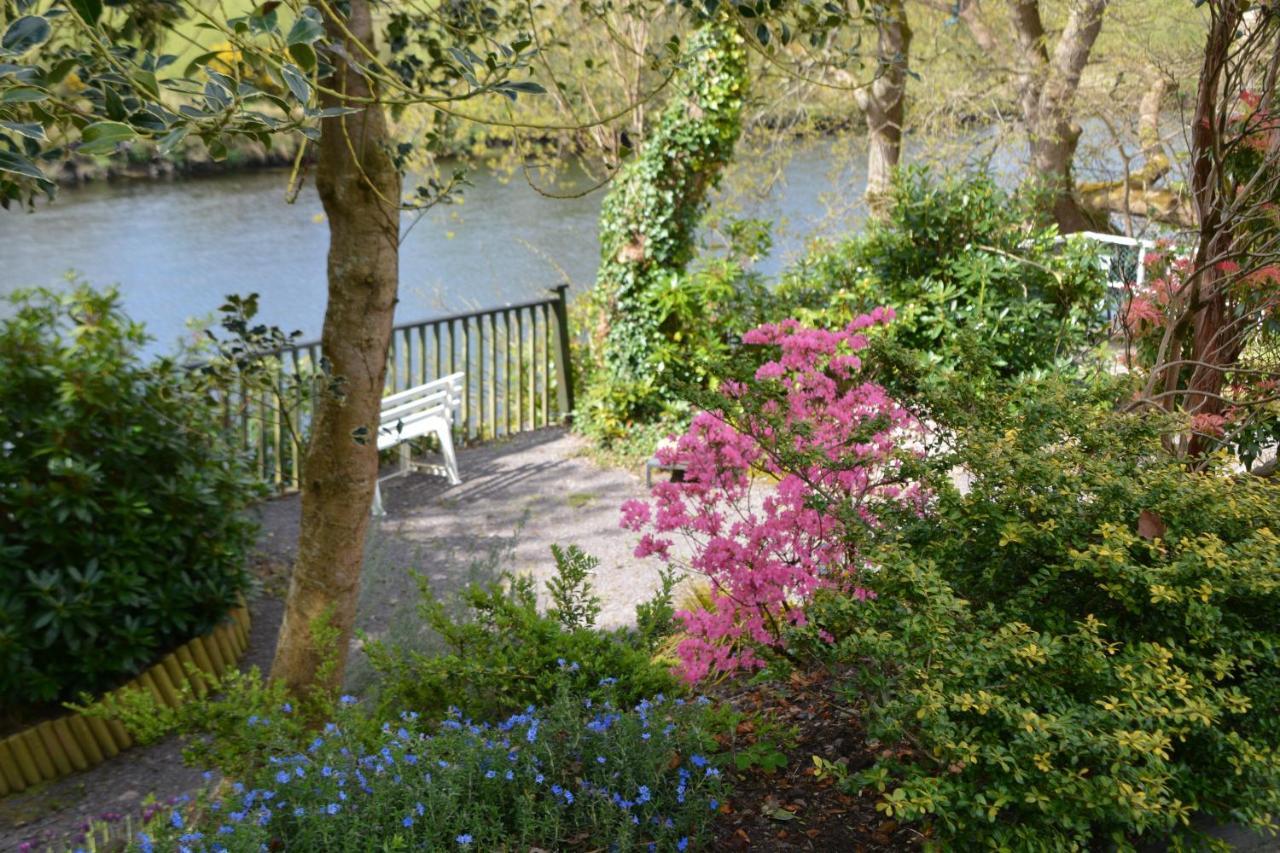 The Grove Lodge Guesthouse Killorglin Eksteriør billede