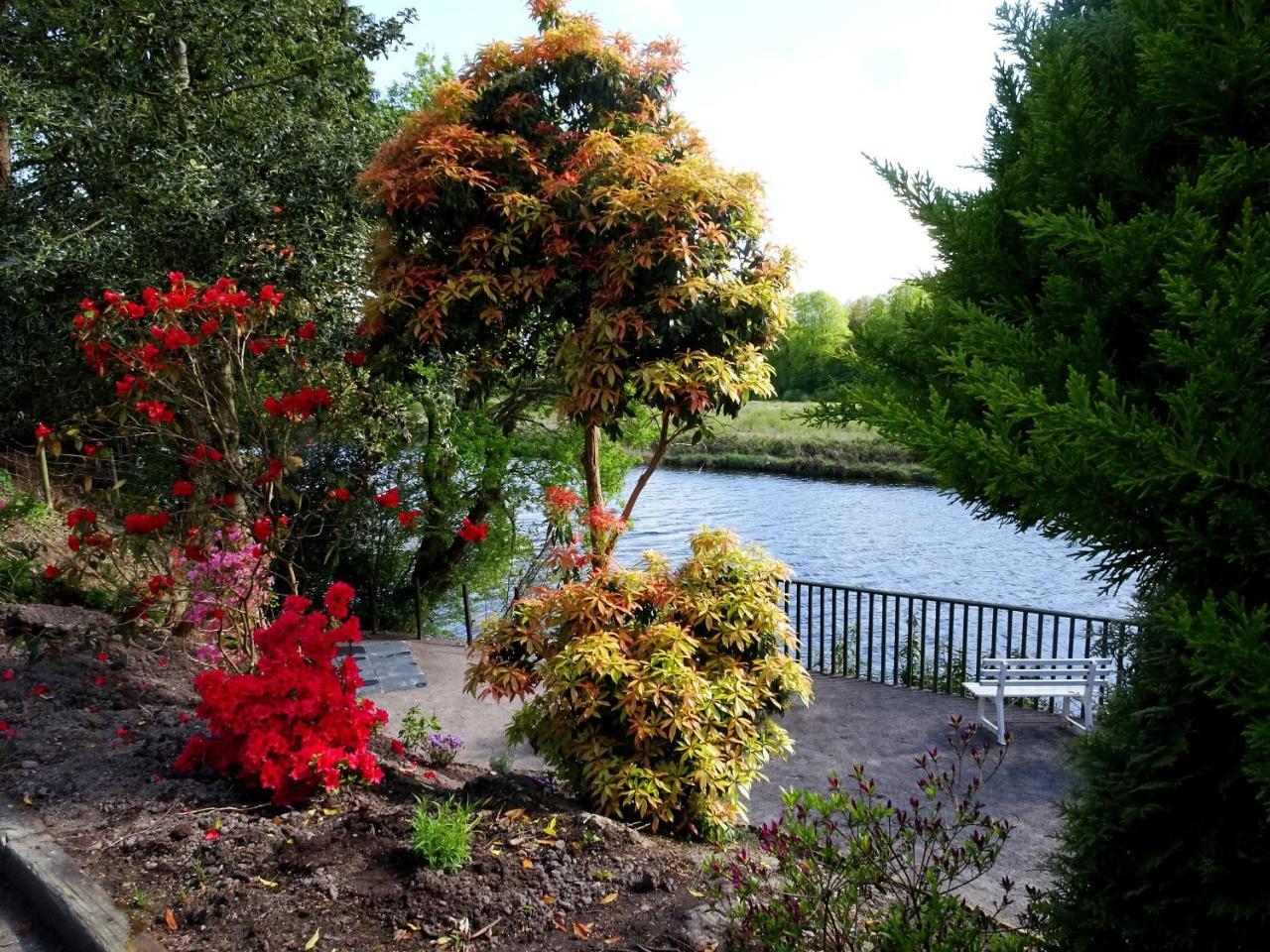 The Grove Lodge Guesthouse Killorglin Eksteriør billede